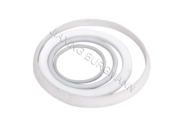 嘉興博格曼密封件有限責任公司嘉善金剛分公司