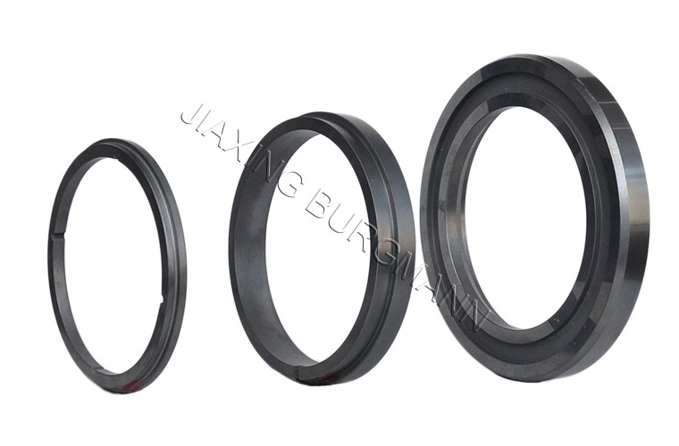 嘉興博格曼密封件有限責任公司嘉善金剛分公司