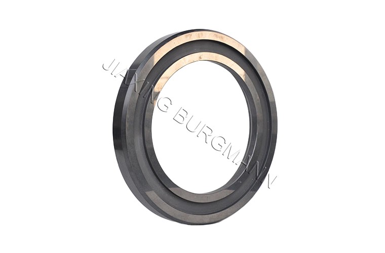 嘉興博格曼密封件有限責任公司嘉善金剛分公司